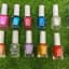 Miss Rose Permanent Nail Polish Set | Long-Lasting 12-Color Collection